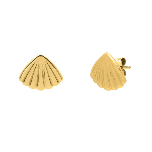 Sea Shell Stud Earrings in 10K Yellow Gold